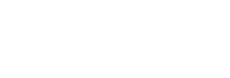 Third Culture Capital - Logo